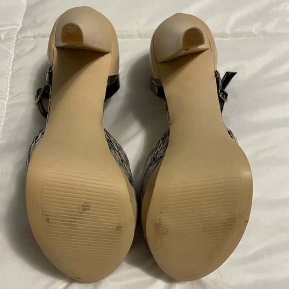 Steve Madden Palmerr Natural Snake - Picture 4 of 5